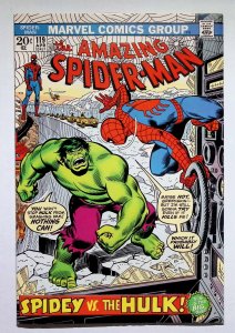 The Amazing Spider-Man #119 (1973) Spider-Man