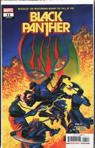 Black Panther #11 (2023)