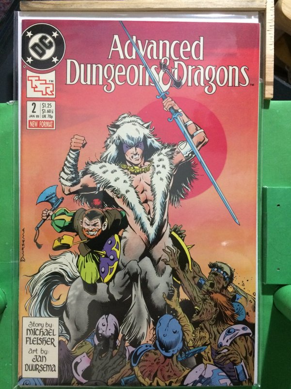 Advanced Dungeons and Dragons #2