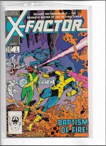 X-Factor 1 NM