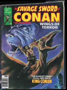 The Savage Sword of Conan #30 (1978) Conan