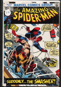 The Amazing Spider-Man #116 (1973) Spider-Man