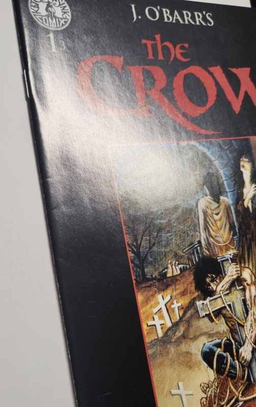 J. O'Barr's The Crow Flesh and Blood #1 #2 #3 Complete Set 1996 Kitchen Sink
