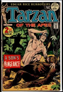 Edgar Rice Burroughs' Tarzan #208 (1972)