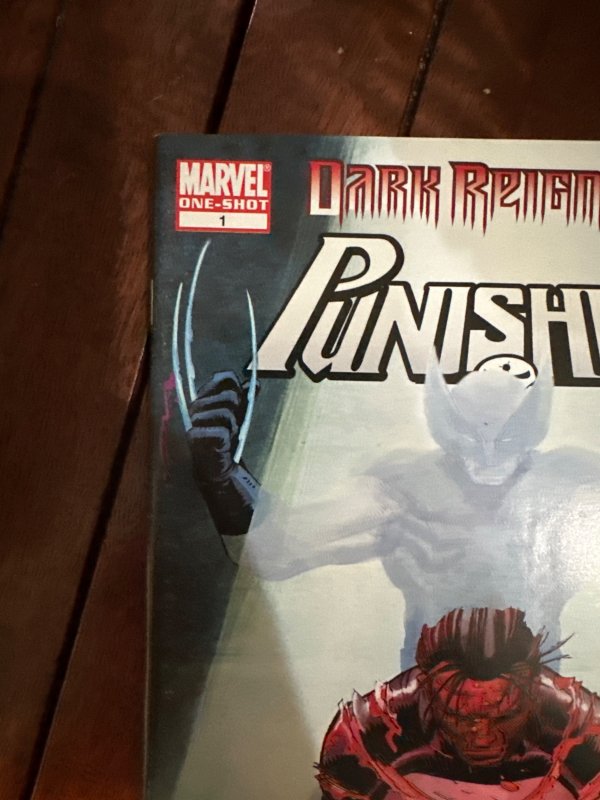 Dark Reign: The List - Punisher (2009)