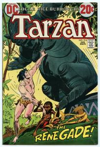 Tarzan 216 Jan 1973 FI-VF (7.0)