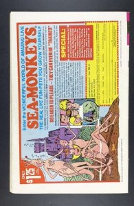 Turok, Son of Stone #121 (1979)