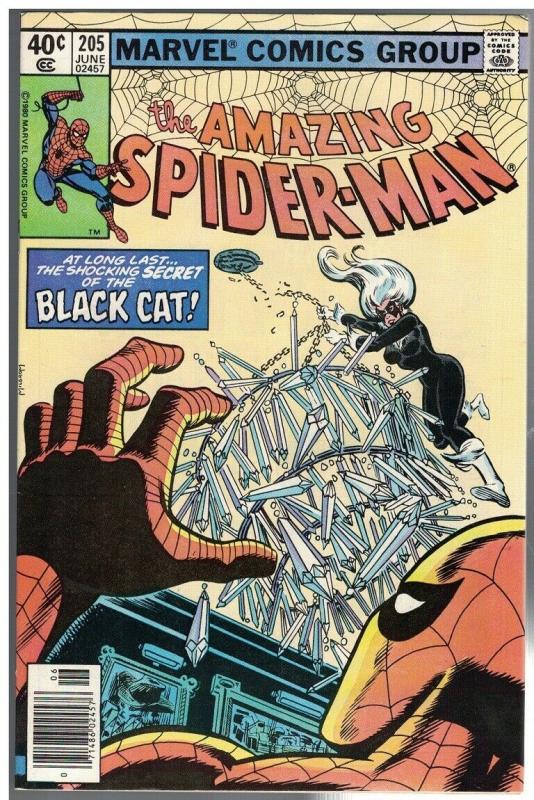 SPIDERMAN 205 VF June 1980