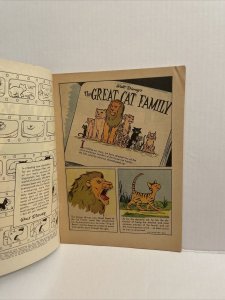 Walt Disney’s The Great Cat Family #750