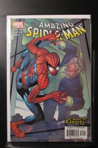 The Amazing Spider-Man #506 (2004)