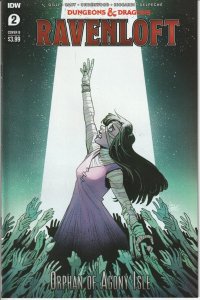 Dungeons & Dragons Ravenloft #2 Cover B IDW Comics NM