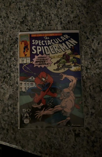 The Spectacular Spider-Man #182 (1991) Spider-Man 