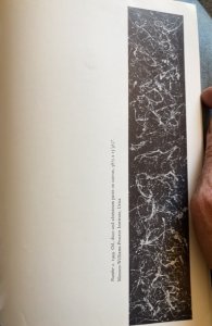 Jackson Pollock, MOMA, Hunter,1956