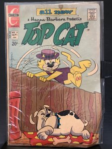 Top Cat #19