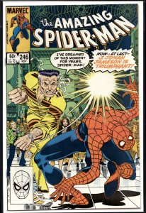 The Amazing Spider-Man #246 (1983) Spider-Man