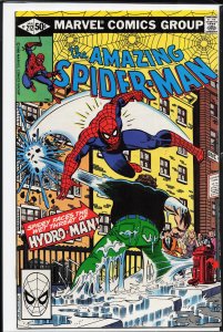 The Amazing Spider-Man #212 (1981) Spider-Man [Key Issue]