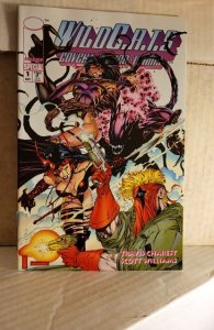 WildC.A.T.S Special (1993)