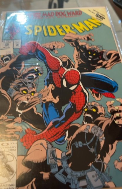 Spider-Man #29 (1992) Spider-Man 