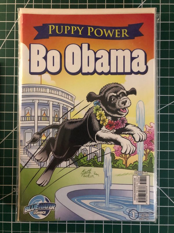 Obama ! Seven comics regarding the past President and family.  Bundle and Save!