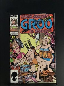 Sergio Aragones Groo the Wanderer #28