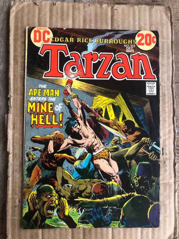 Edgar Rice Burroughs' Tarzan #215 (1972)
