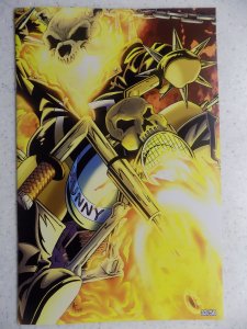DO YOU POOH GHOST RIDER HOMAGE ADAM FIELDS VIRGIN 33/50