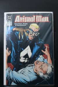 Animal Man #21 (1990)