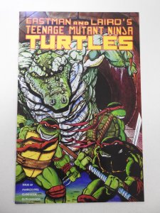 Teenage Mutant Ninja Turtles #45 (1992) VF/NM Condition!