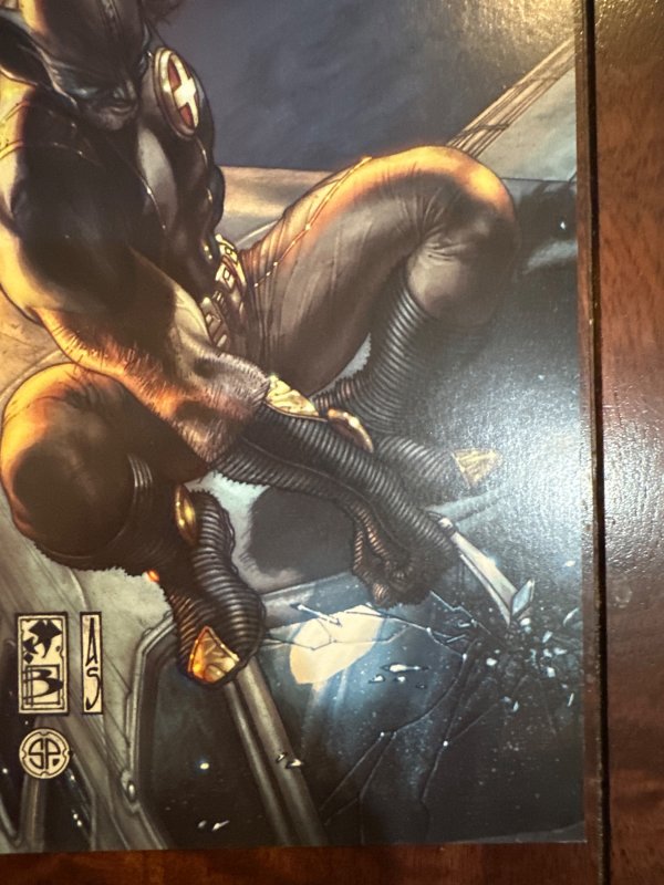 Wolverine: The Anniversary (2009)