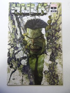 Hulk #1 Variant Edition NM- Condition