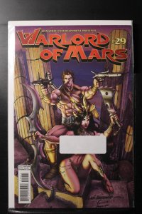 Warlord of Mars #29 risqué cover Lui Antonio (2013)