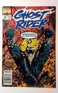 Ghost Rider #23 (1992) Marvel Comics Newsstand 1st Print Comic Book