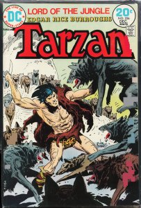 Edgar Rice Burroughs' Tarzan #226 (1973)