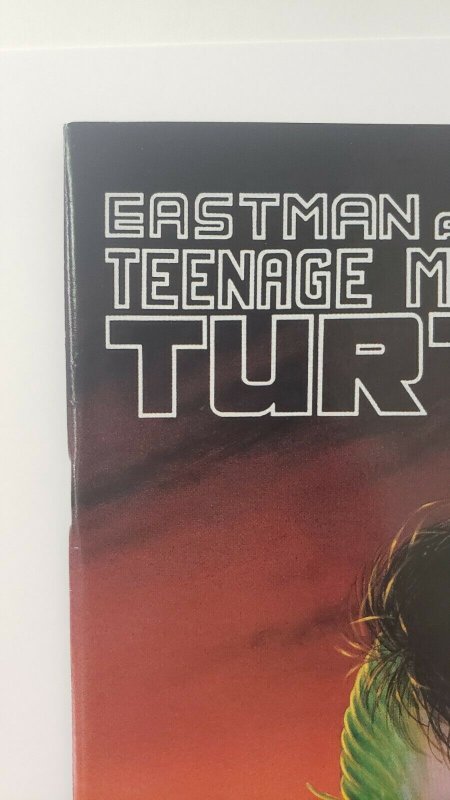 Teenage Mutant Ninja Turtles #28 Eastman & Laird Mirage Studios 1990