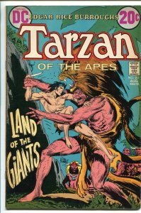 Tarzan--#211--1972--COMIC BOOK--DC--VF