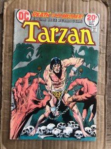 Edgar Rice Burroughs' Tarzan #224 (1973)