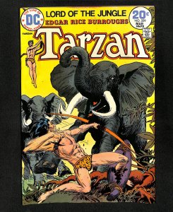 Tarzan (1972) #229