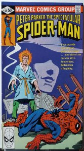 The Spectacular Spider-Man #48 (1980)