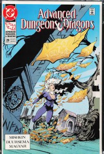 Advanced Dungeons & Dragons #28 (1991)