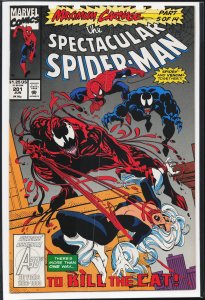 The Spectacular Spider-Man #201 (1993) Spider-Man