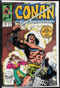 Conan the Barbarian #208 (1988) Conan