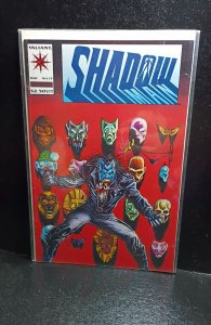 Shadowman #13 (1993)