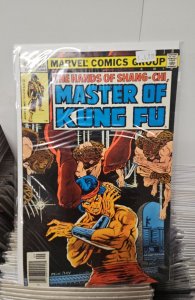 Master of Kung Fu #80 Newsstand Edition (1979)