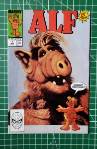 ALF #1 (1988) Hi Grade