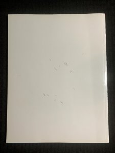 2010 YOUNG JUSTICE Series Bible & Character Designs SC FVF 7.0 Robin Superboy