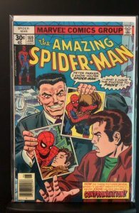 The Amazing Spider-Man #169 (1977)