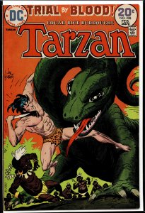 Edgar Rice Burroughs' Tarzan #228 (1974)