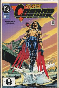 Black Condor #3 (1992) Black Condor