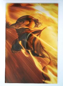 Street Fighter #14, Special Power Foil Cvr, UDON, 2004