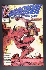 Daredevil #249 (1987)